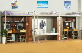 连发科教组合公寓床g014图片,连发科教组合公寓床g014高清图片 东莞市连发科教办公设备厂,