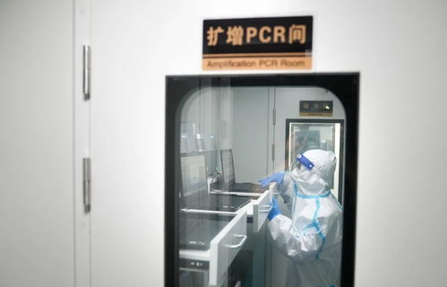 8大 方舱 就位 长沙抗疫一线再添 神器