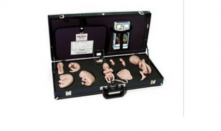 WA15715U 胚胎发育示教教程(模型、音像带)-胚胎发育-WA15715U -上海亨隆科教设备