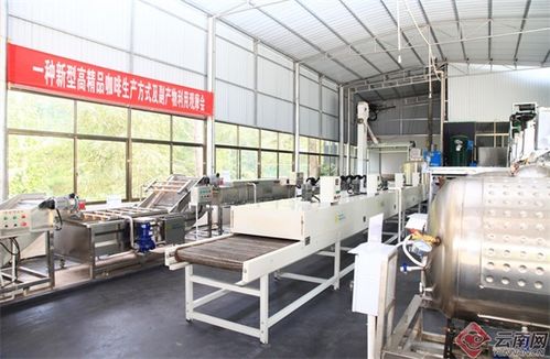 两个全国唯一 云南咖啡 代表中国 背后的科技加持